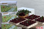 免费算卦高速赋能产业升级：一条“杨梅路”的致富密码