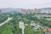 免费算卦西宁市举办六五环境日主题宣传活动